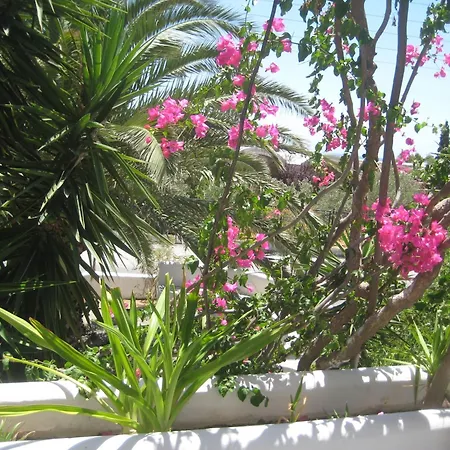 Vocamvilia Apartments *
