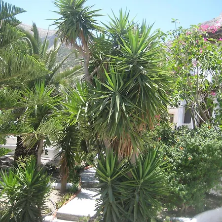 Vocamvilia Apartments Apartment Kamari (Santorini)